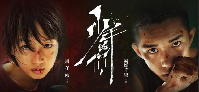 为什么学位证查不到